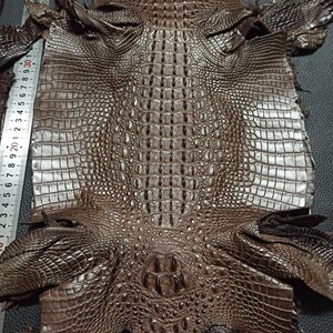 整张超软鳄鱼骨皮皮料可做表带手机壳鞋子钱包手提包等