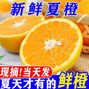 正宗广西当季夏橙甜橙子脐橙新鲜孕妇水果榨汁专用酸甜商用整批发