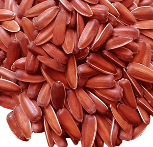 云南特产山地红皮生瓜子生葵花籽水果瓜子甜瓜子农