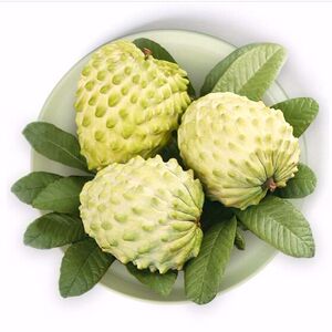 福建现摘牛奶凤梨释迦果3斤5斤新鲜番荔枝佛头果热带水果大果孕妇