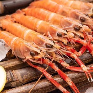 工厂直供 新鲜海龙虾 海鳌虾深海鲜冻铁甲小龙虾冷冻海捕虾刺身