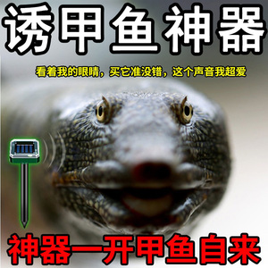 【甲鱼专用诱饵】钓甲鱼诱聚剂甲鱼排钩饵料野生老鳖王八诱捕神器