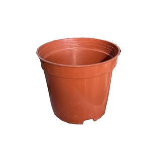 20个 多肉花盆 育苗盆 网底小盆栽种植塑料花盆育苗花场专用花盆