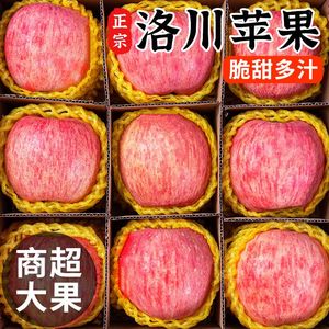 陕西正宗延安洛川苹果官方旗舰店新鲜10十斤水果当季整箱产地直销