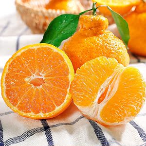 正宗福建芦柑贡柑大果5斤新鲜水果现摘现发包邮桔子整箱橘子贡柑