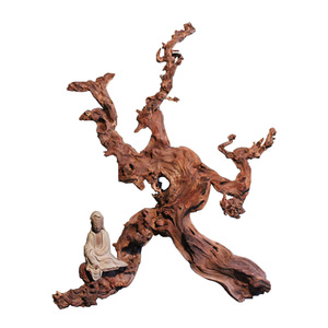 高档羊蹄甲金丝红木中国风根雕根艺摆件树根毛料珊瑚木沉木水实用