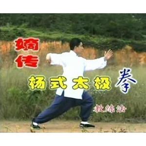 嫡传杨式太极拳教练法 传统杨氏85式视频教学 付清泉傅清泉4DVD