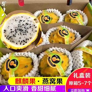 新鲜进口麒麟果燕窝果黄皮火龙果原箱4.