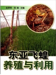 蚂蚱养殖技术书籍东亚飞蝗养殖与利用 全新正版包邮