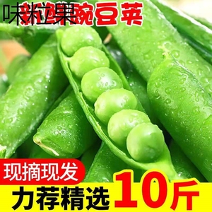 云南新鲜豌豆水果带壳豌豆蔬菜应季青豆素菜甜脆生豌豆整箱_阿里巴巴