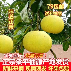梁平柚子新鲜水果12斤重庆特产新鲜当季农家梁山柚10斤白心柚