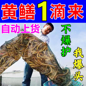 黄鳝饵小药鳝鱼王诱食剂黄蟮诱饵料腥味捕鳝鱼灵开口药钓泥鳅虾笼