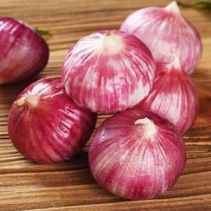 zzggmmf淘宝2021年云南大理新鲜紫皮独头蒜红蒜土