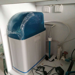 定制软水机家用大流量全屋除水垢别墅自动设备1体中央软化器ptr阀