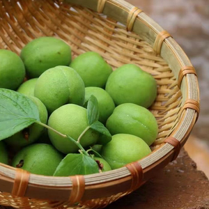 大果5斤 云南高山新鲜青梅果大理照水梅野生酸梅子泡酒现摘发