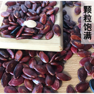 原味炒熟红瓜子 江西信丰手工香炒红瓜子熟的 饱