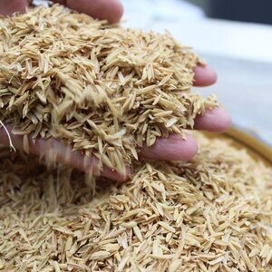 稻壳稻谷壳稻壳子皮子,酿酒料宠物垫料松土枕头填充物9.5斤