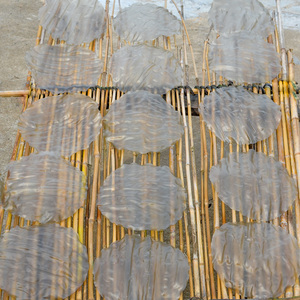 农家手工制作  红薯粉皮 江西特产 正宗高安太阳粉皮 2斤包邮rcpq