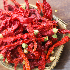 新疆干线辣椒