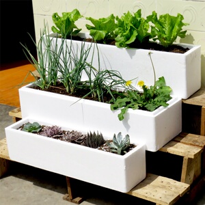 【蔬菜种植泡沫箱】蔬菜种植泡沫箱品牌,价格 - 阿里巴巴