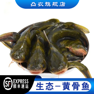 小杂鱼鲜活