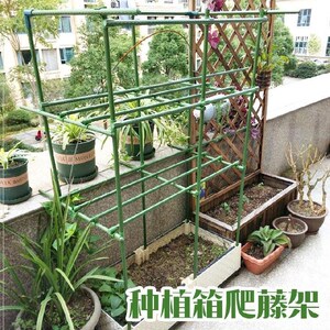 用种青瓜爬藤架丝瓜种菜防雨蓬棚架e支架花架庭院黄瓜家用杆子菜