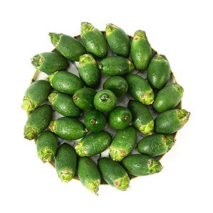 海南特产槟榔新鲜