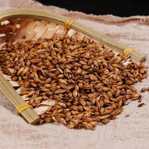 北京同仁堂炒麦芽回奶断奶退奶降泌乳素炒麦芽茶另有芒硝山楂