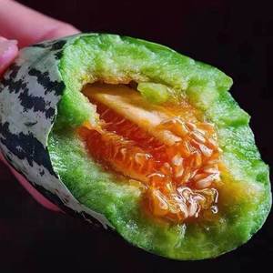 5斤头茬博洋9号甜瓜新鲜羊角蜜瓜山东水果小香瓜10当季整箱脆酥密