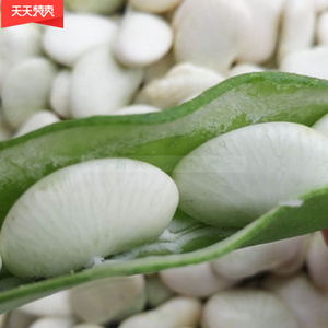 新鲜蔬菜白玉豆非冷冻江西上饶特产农家自种带壳扁豆玉山白芸豆荚