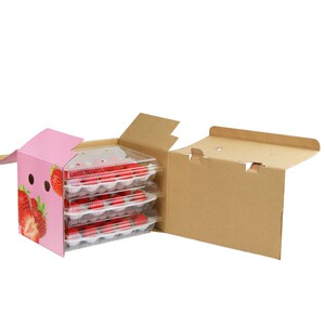 草莓礼盒包装盒水果礼盒空盒子塑料带托盘手提纸盒.定制礼品盒