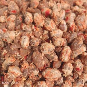 安徽干盐豆子臭酱豆子辣椒豆香辣凤阳小岗村特产5