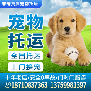 宠物托运服务全国狗狗猫咪托运宠物航空专车北京上海广州成都西安