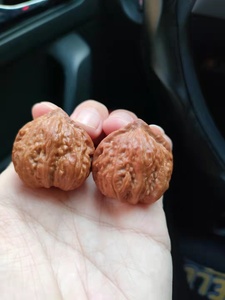 2022东北秋子秦岭秋子手捻直播专拍链接