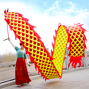 舞龙彩带健身8米烫金中老年人广场舞带龙头锻炼耍龙6米新款甩龙