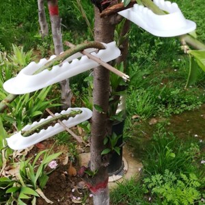 果树花卉基角侧枝塑料拉枝器压枝定型神器30个