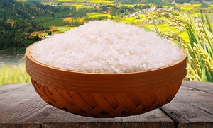 夹沟香稻米粳米软糯可口5斤装夹香园长粒大米