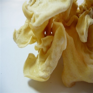 武夷山竹耳菌福建食用菌菇白玉木耳脆耳500g包