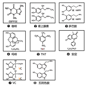 玩味多巴胺化学分子式纹身贴ins持久防水元l素臂锁骨手臂刺青男8