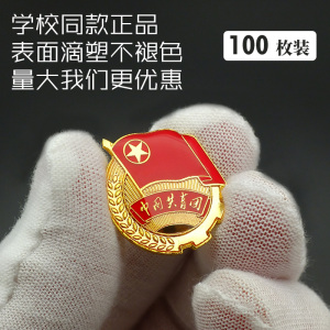 100枚正版团徽磁铁中国共青团胸针学生用青年强磁扣蝴蝶扣入团标准