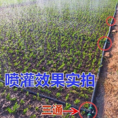 软管带喷水管微喷管农用水袋农田带滴n灌带蔬菜微喷带喷淋喷灌冲z