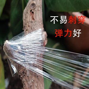 嫁接膜自粘型果树专用嫁接带树苗木嫁接缠绕绑带5透明x薄膜3厘米