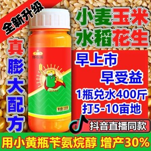 膨大小黄瓶苄氨烷醇怀农源小麦水稻玉米卞卡素剂西瓜果树蔬菜专用