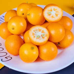 新鲜小金桔水果现摘麻皮黄皮金橘小果大果广西桂林非融安滑皮脆皮