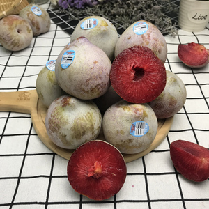 精品鳄鱼蛋李子2斤装当季新鲜恐龙蛋大果精美礼盒装 顺丰