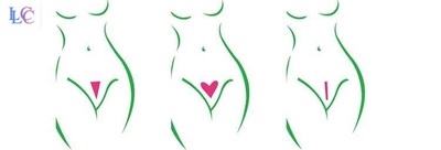 比基尼阴毛模造 模具形私处阴毛剃毛脱毛女模型模块修剪模型板.