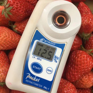 爱拓手持测糖仪