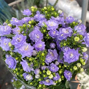 00心澜漪淘宝旗袍配饰日常簪子 紫色铃兰发簪盘发发饰古风气质简约