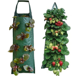 立体种植袋挂墙式垂直绿化植物墙美植袋阳台种菜壁挂毛毡布袋花盆