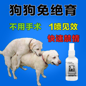 狗狗的避孕药绝育